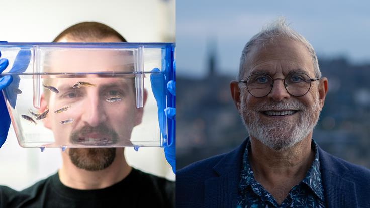 The Provocateurs: It All Went Wrong At Legs / Brave New Bullshit